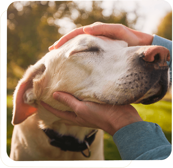 highlight-14-v1_image